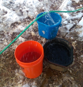 Spewing water hose filled those buckets in record time.